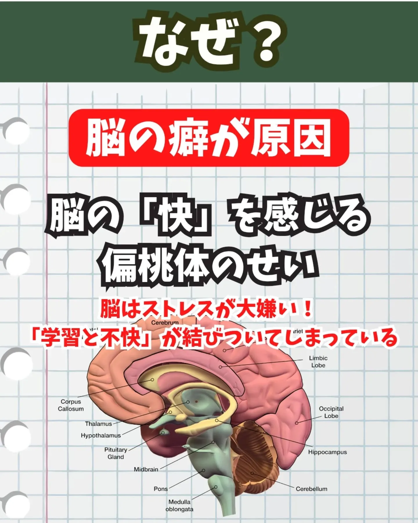 📝なかなか机に向かえない理由